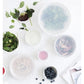 Ever Eco Reusable Silicone Food Covers (6pk)