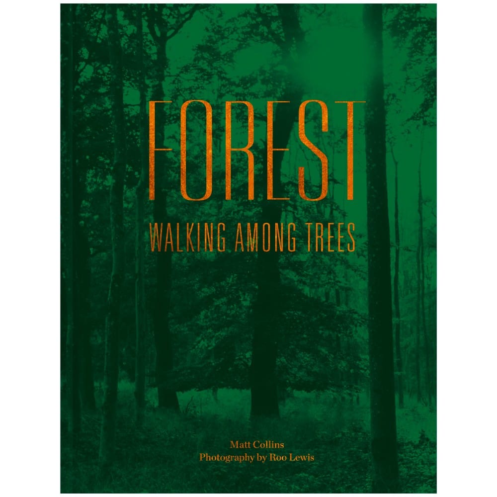 Forest - Walking Among Trees