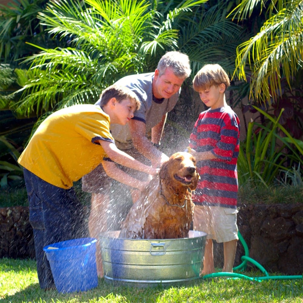 Hemp Collective Natural Pet Shampoo Bar 100g