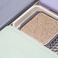 Micropod Microgreen Starter Kit - Seafoam