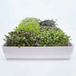 Micropod Seedmats - Mixed Pack 2 (pack of 12)