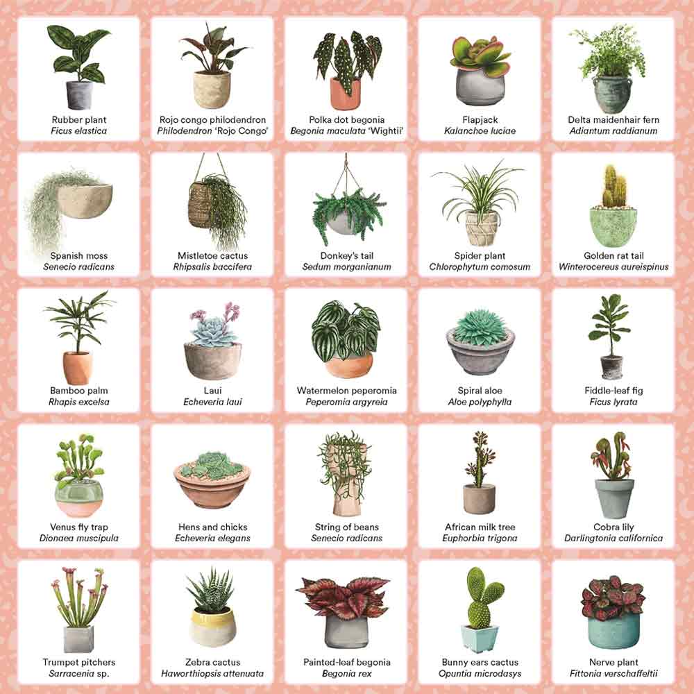 Plant Bingo