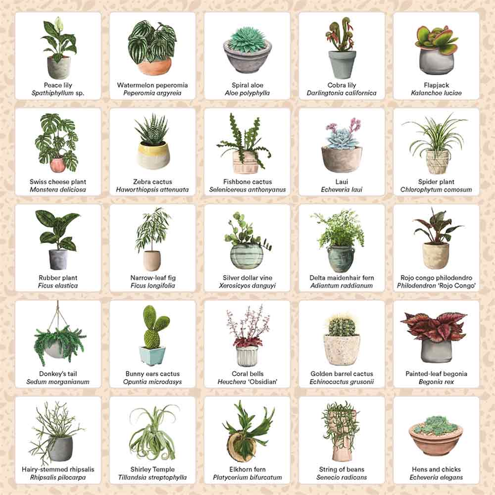 Plant Bingo