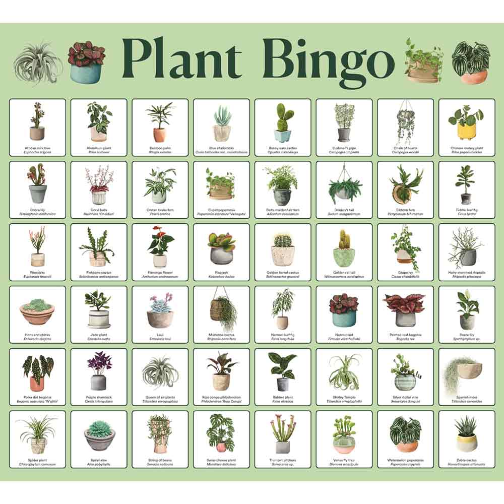 Plant Bingo