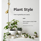 Plant Style