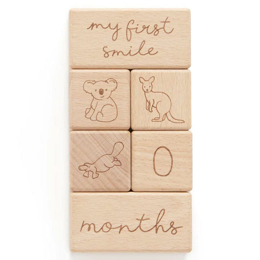 Purebaby Wooden Milestone Blocks