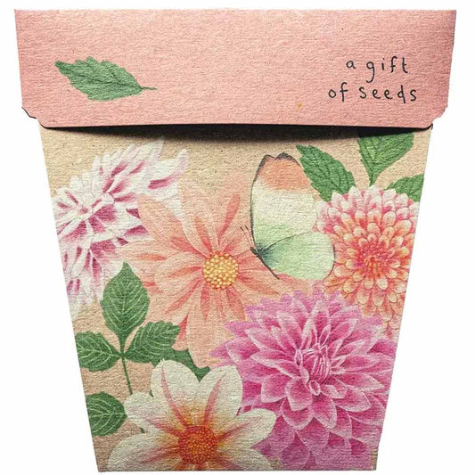 Sow 'n Sow Gift of Seeds Greeting Card - Dahlia