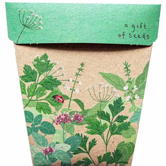 Sow 'n Sow Gift of Seeds Greeting Card - Garden Herbs