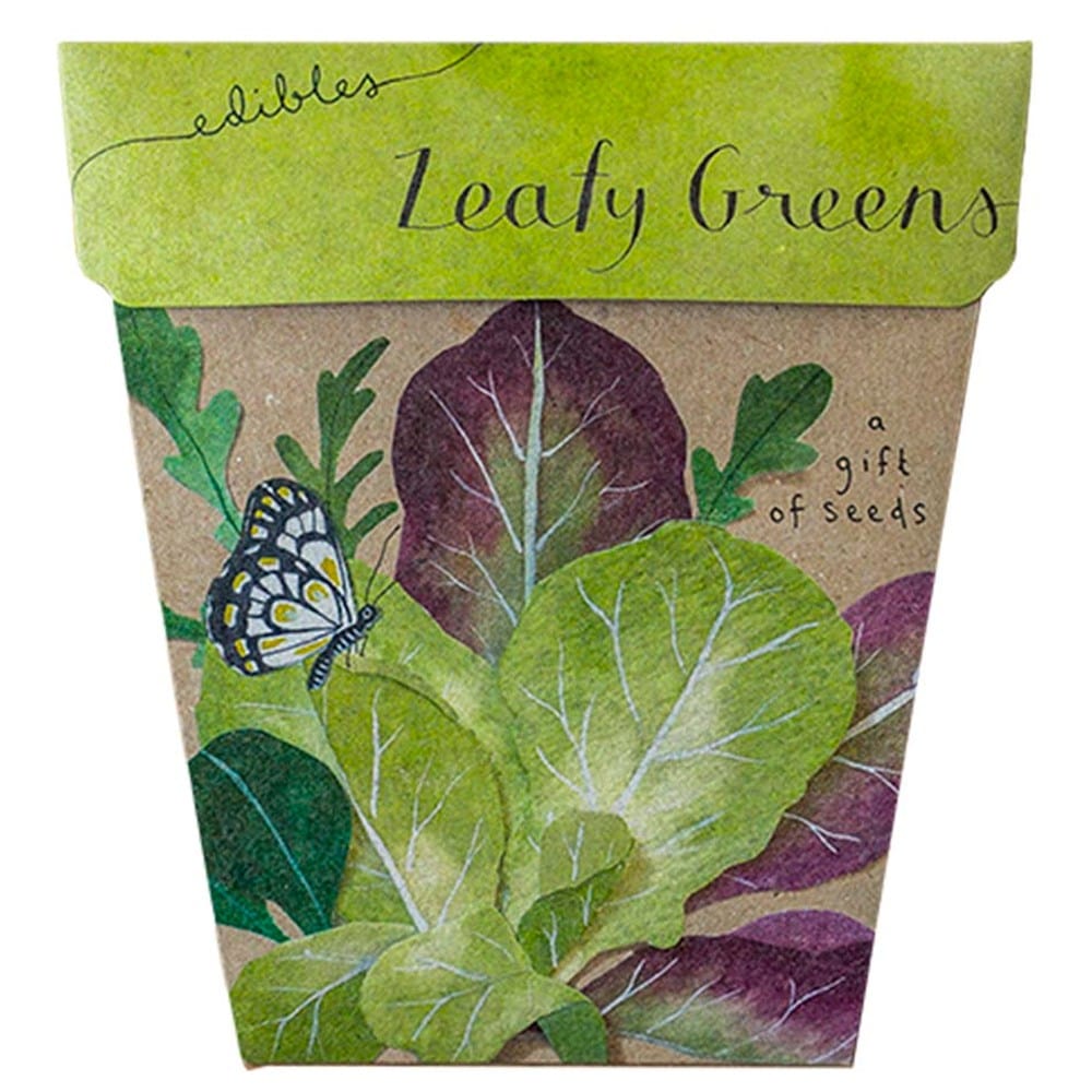 Sow 'n Sow Gift of Seeds Greeting Card - Leafy Greens