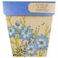 Sow 'n Sow Gift of Seeds Greeting Card - Love In A Mist