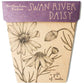 Sow 'n Sow Gift of Seeds Greeting Card - Native Swan River Daisy