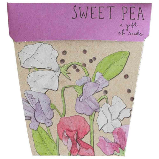 Sow 'n Sow Gift of Seeds Greeting Card - Sweet Pea