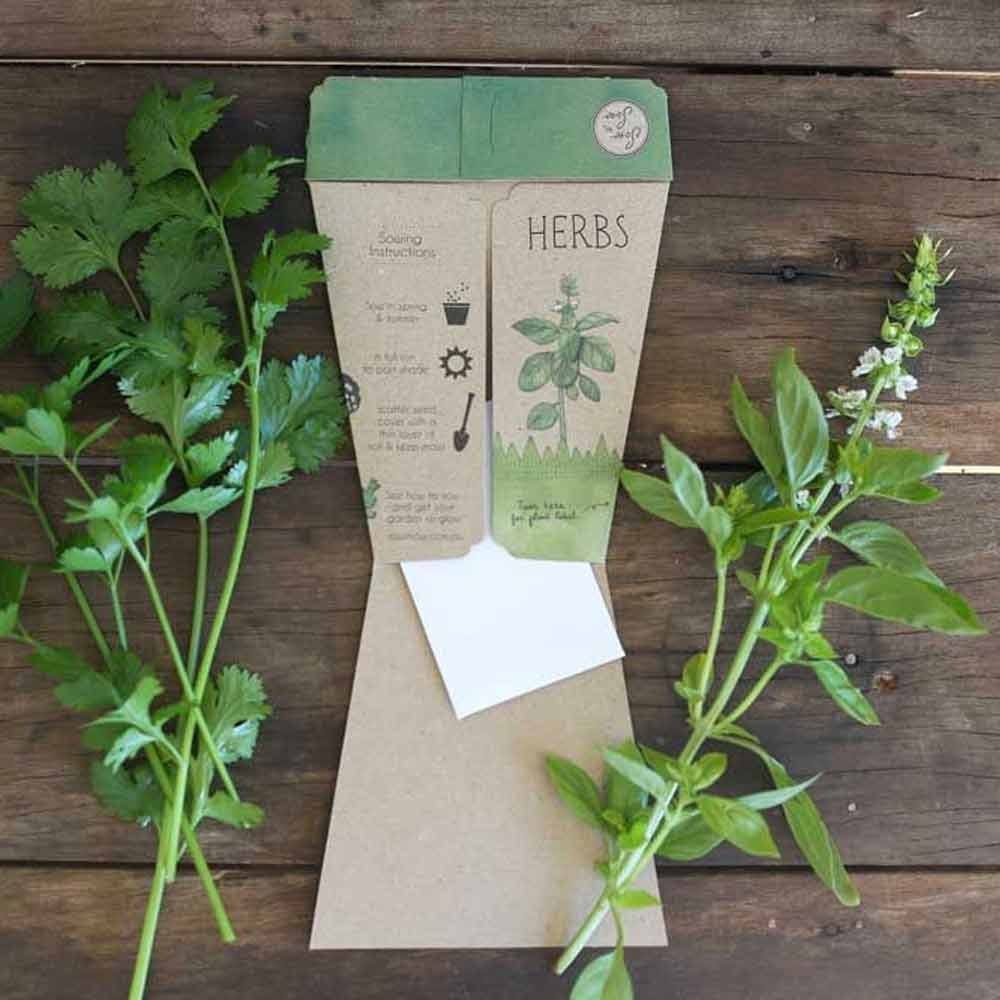 Sow 'n Sow Gift of Seeds Greeting Card - Trio of Herbs