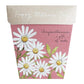 Sow 'n Sow Gift of Seeds Mother's Day Card - Chrysanthemum
