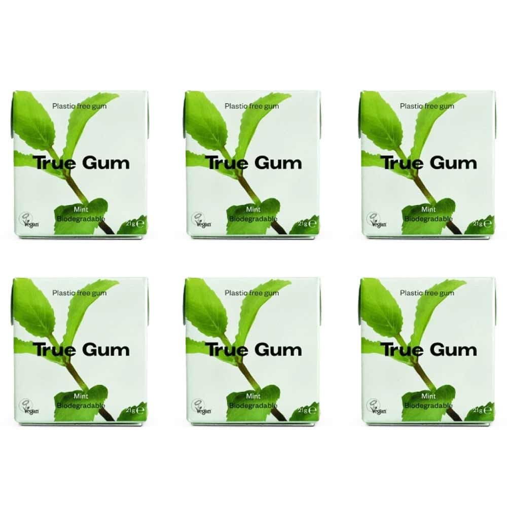 True Gum Raspberry True Gum Plastic Free Natural Chewing Gum - Mint