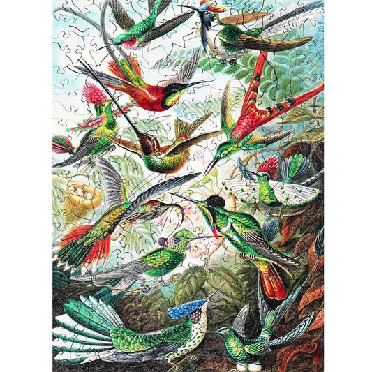 Twigg Puzzles Ernst Haeckel Hummingbirds - 228 Piece