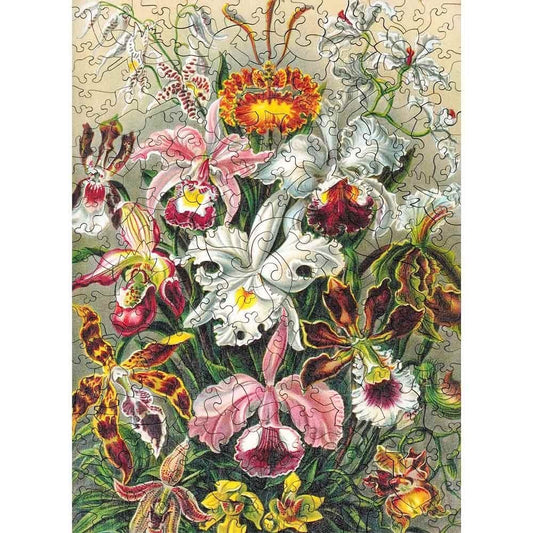 Twigg Puzzles Ernst Haeckel Orchids - 200 Piece