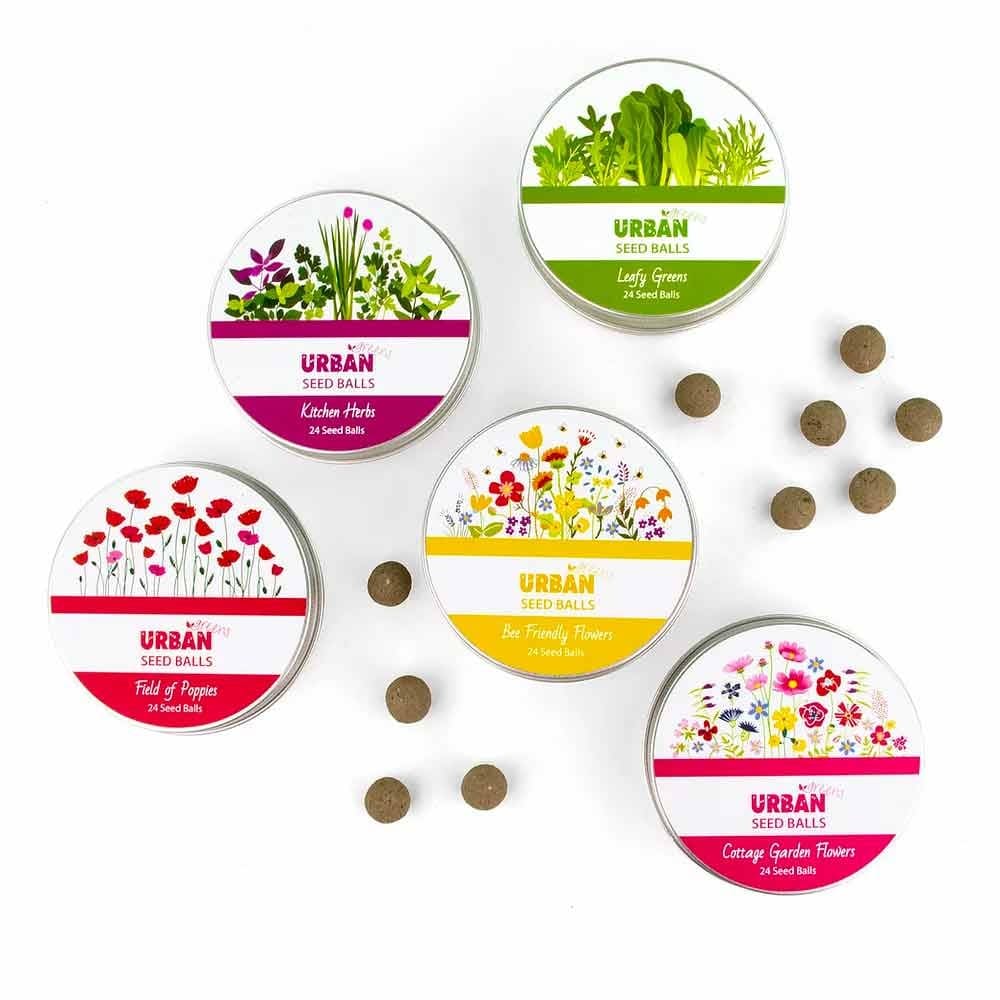Buy UrbanGreens Seed Balls - Bee Friendly Flowers – Biome US Online