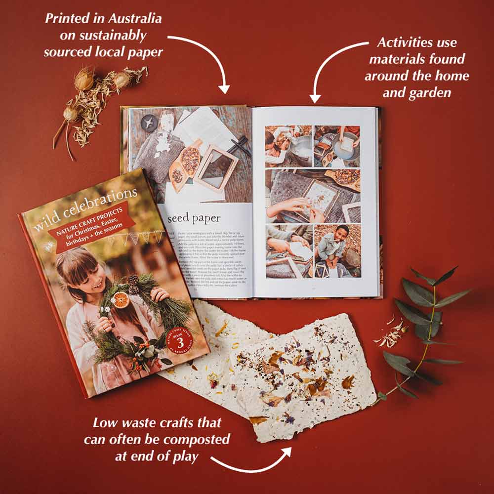 Wild Celebration: nature craft for Christmas, Easter, birthdays + more NEW Edition