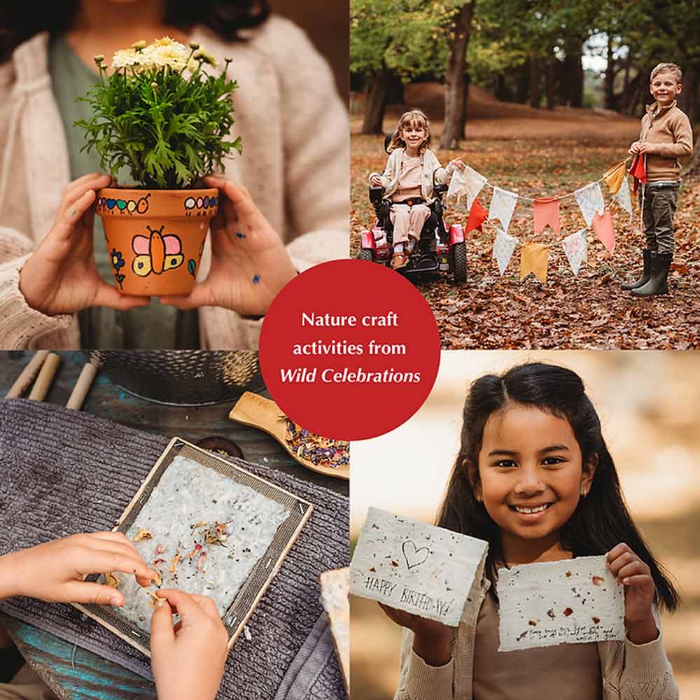 Wild Celebration: nature craft for Christmas, Easter, birthdays + more NEW Edition