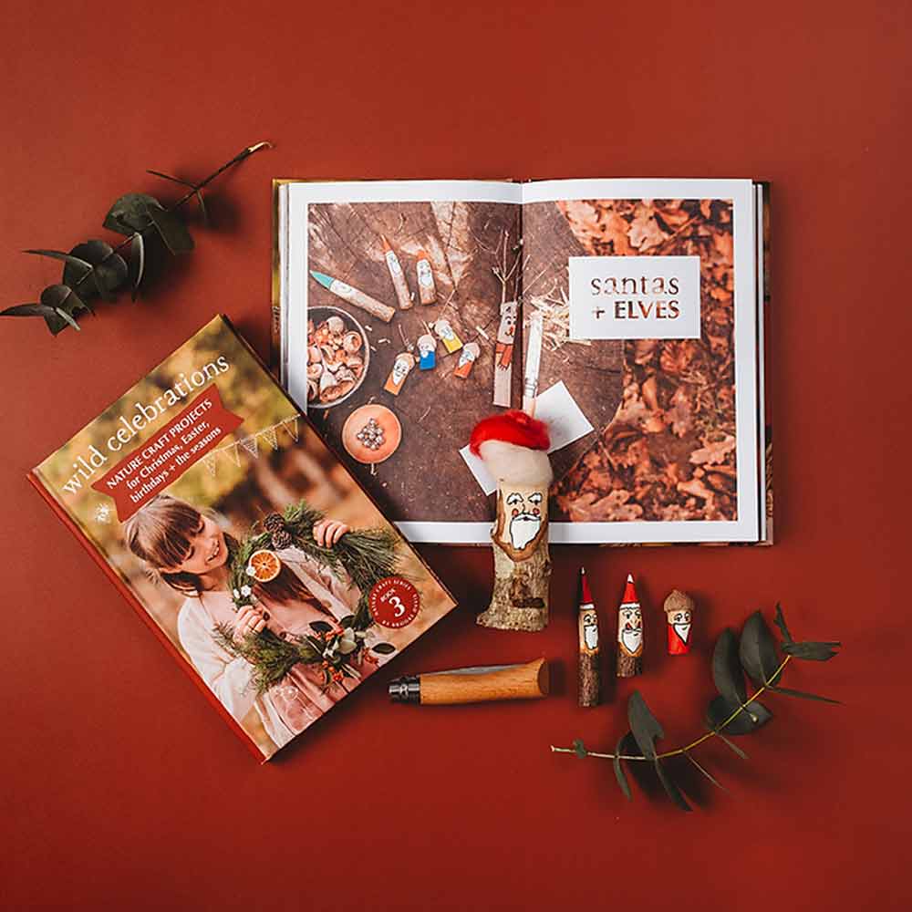 Wild Celebration: nature craft for Christmas, Easter, birthdays + more NEW Edition