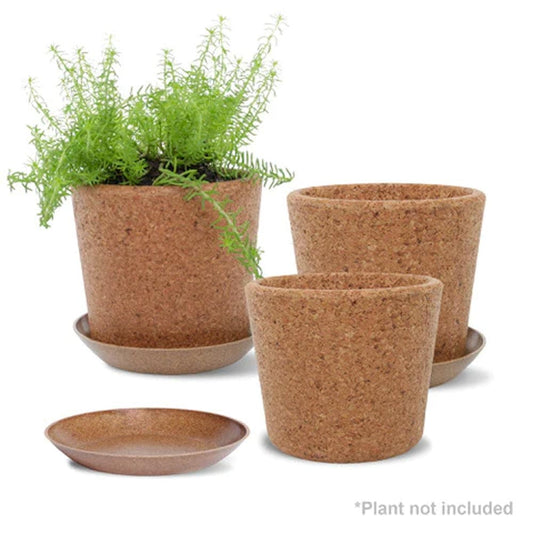 Wild Pact Set 3 Coarse Grain Cork Pots 14cm With Rice Hull Saucers