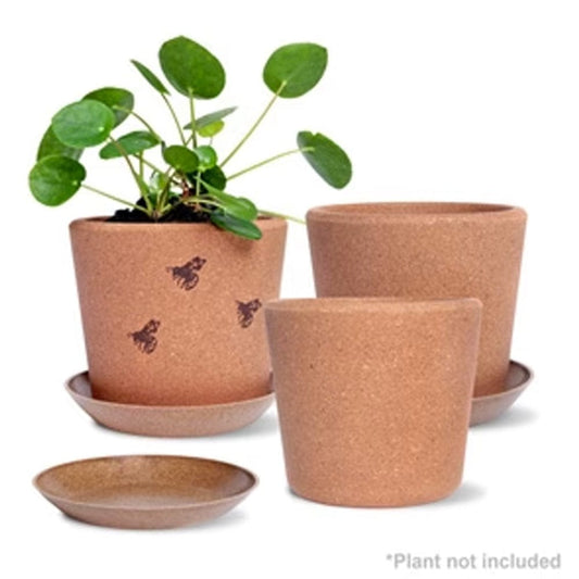 Wild Pact Set 3 Fine Grain Cork Pots 14cm With Rice Hull Saucers (1 Pot Has Bees)