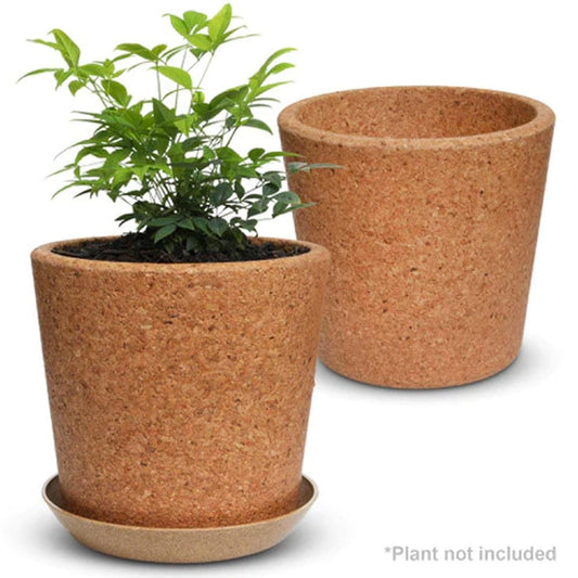 Wild Pact Single Coarse Grain Pot 19cm With Rice Hull Saucer