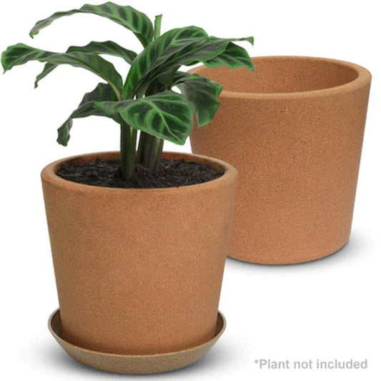 Wild Pact Single Fine Grain Pot 19cm With Rice Hull Saucer